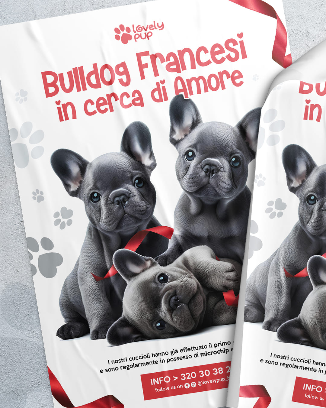 identità visiva, logo design, allevamento bulldog francesi, visual identity, brand design, daniele barone visual web designer, visual design, logo designer